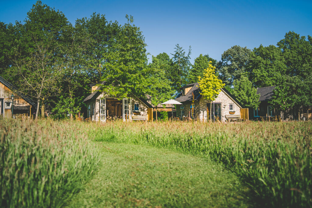Exterieur van de huisjes